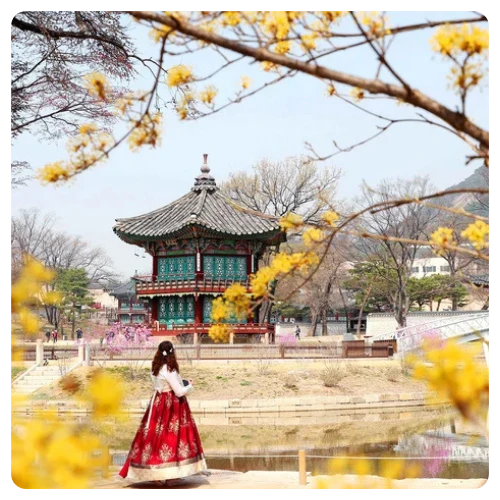 首爾城市觀光 & 夜景一日遊